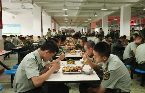 規范機關食堂餐飲服務，國家下一步或出臺新規